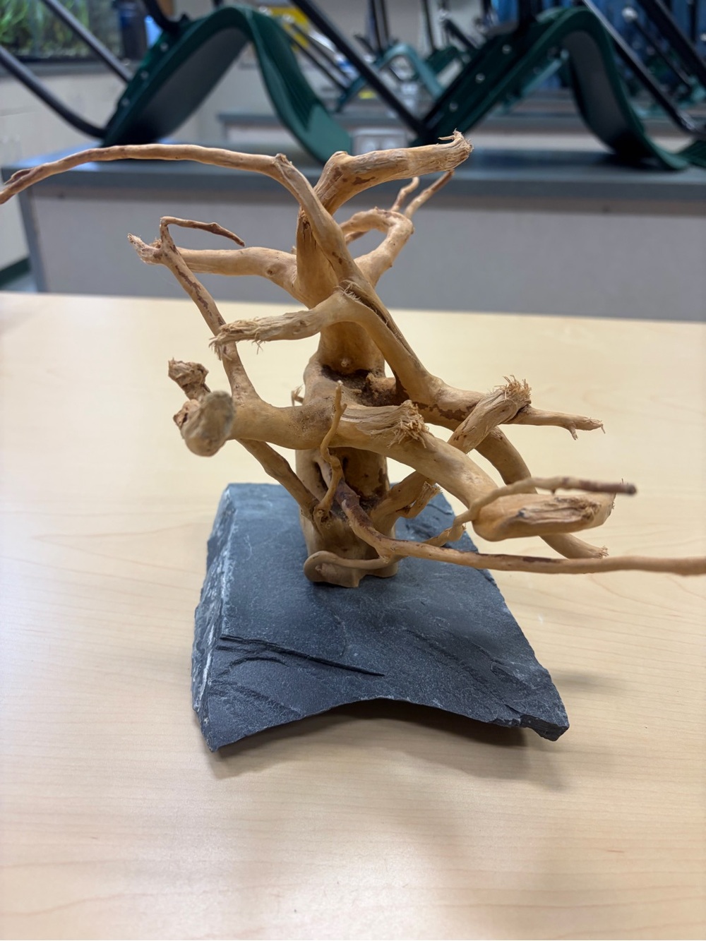 Spiderwood driftwood on slate